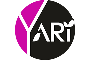 Yari